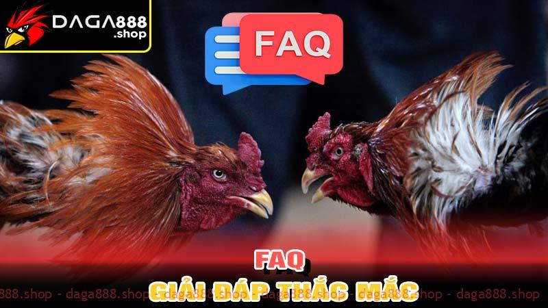 FAQ - giải đáp thắc mắc