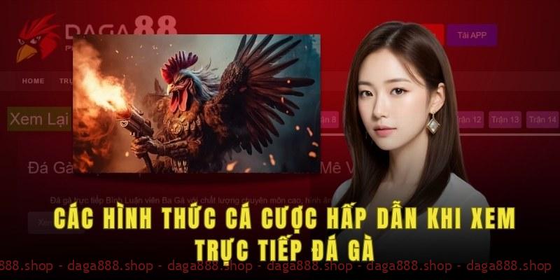 Cá cược theo gà chọi đặc biệt