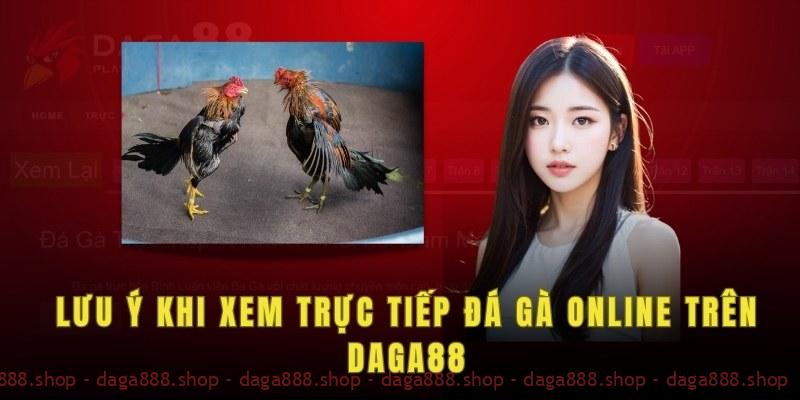 Lưu ý khi xem trực tiếp đá gà online trên daga88