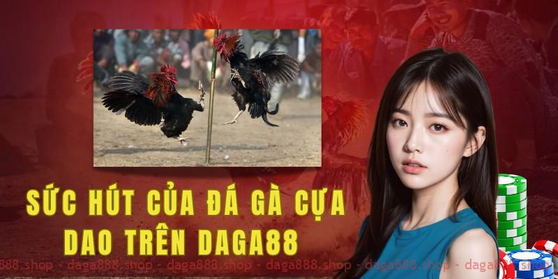 Sức hút của đá gà cựa dao so với các bộ môn đá gà khác