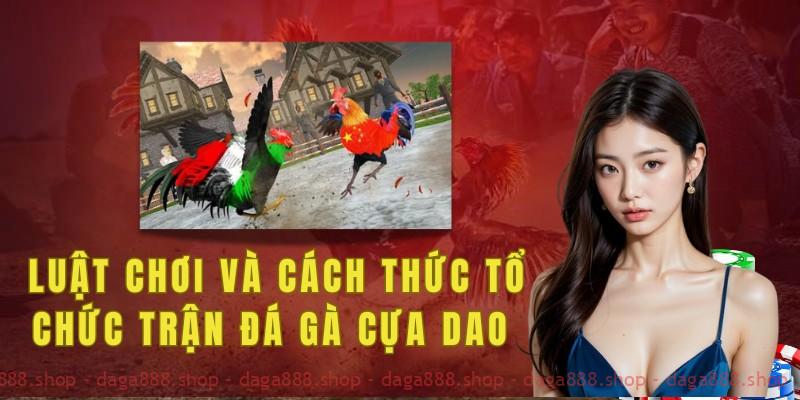 Luật chơi và cách thức tổ chức trận đá gà cựa dao 