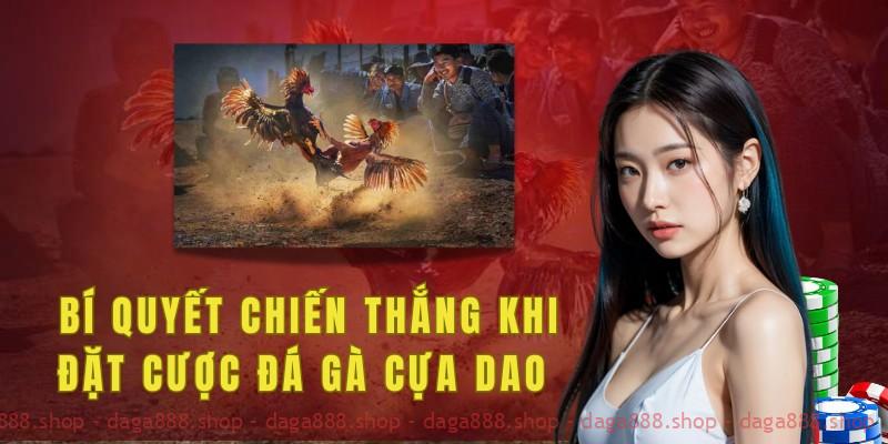 Kỹ thuật và bí quyết để chiến thắng khi đặt cược đá gà cựa dao