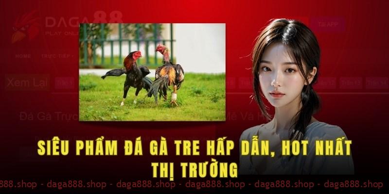 Siêu phẩm đá gà tre hấp dẫn, hot nhất thị trường