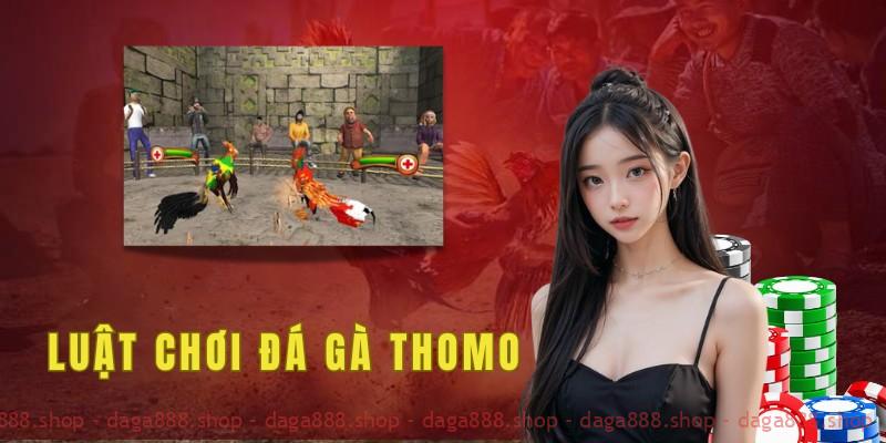 Luật chơi đá gà Thomo kê thủ cần nắm rõ 