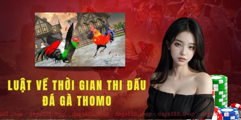 Gà chiến sẽ có thời gian nghỉ ngơi nếu chưa thể phân thắng bại