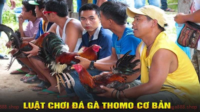 Luật chơi đá gà Thomo cơ bản