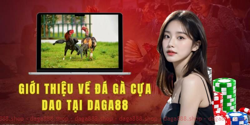 Tìm hiểu về luật đá gà cựa dao