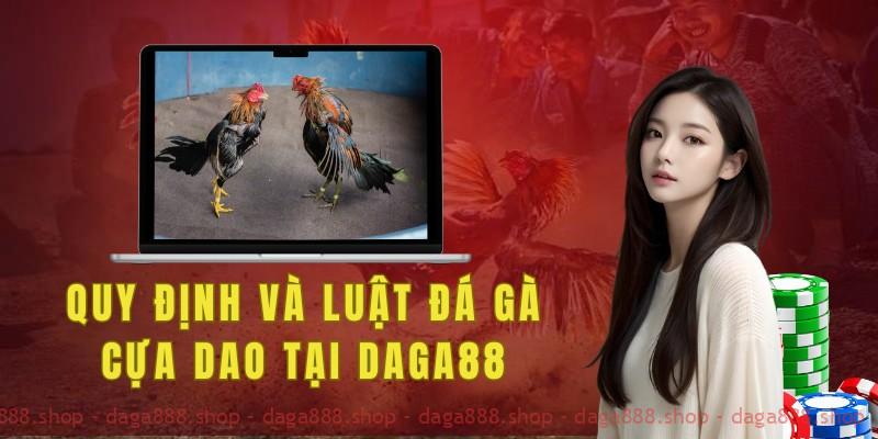 Các quy định và luật đá gà cựa dao tại Daga88