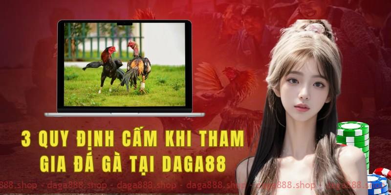 3 quy định cấm khi tham gia đá gà tại Daga88