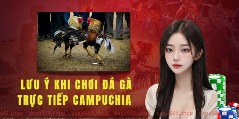 Để chọn được gà cược hiệu quả cần nhìn vào phần lông và xương