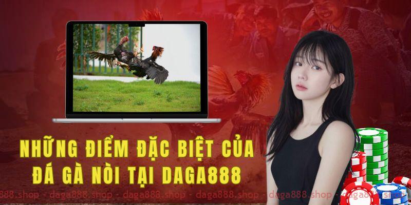 Những điểm đặc biệt của đá gà nòi tại daga888