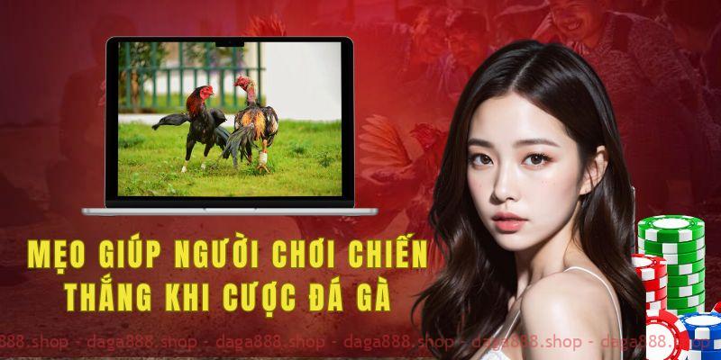 Một số mẹo giúp người chơi giành chiến thắng khi cược đá gà