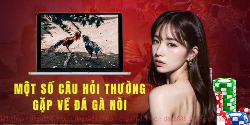 Một số câu hỏi thường gặp về đá gà nòi tại daga888